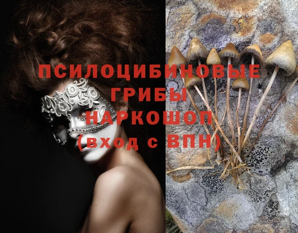 дживик Балабаново
