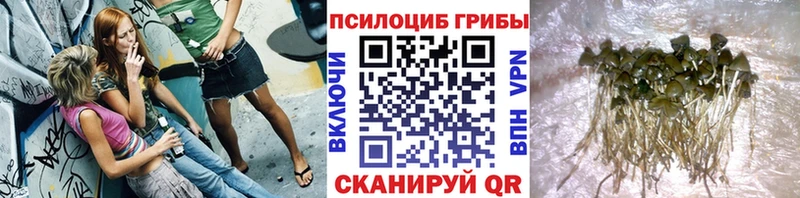 ссылка на мегу   где можно купить   Луза  Галлюциногенные грибы ЛСД 