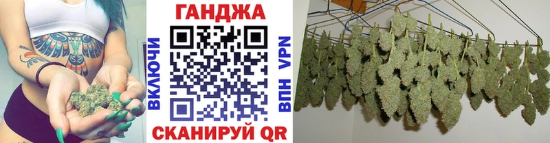 Конопля SATIVA & INDICA Луза